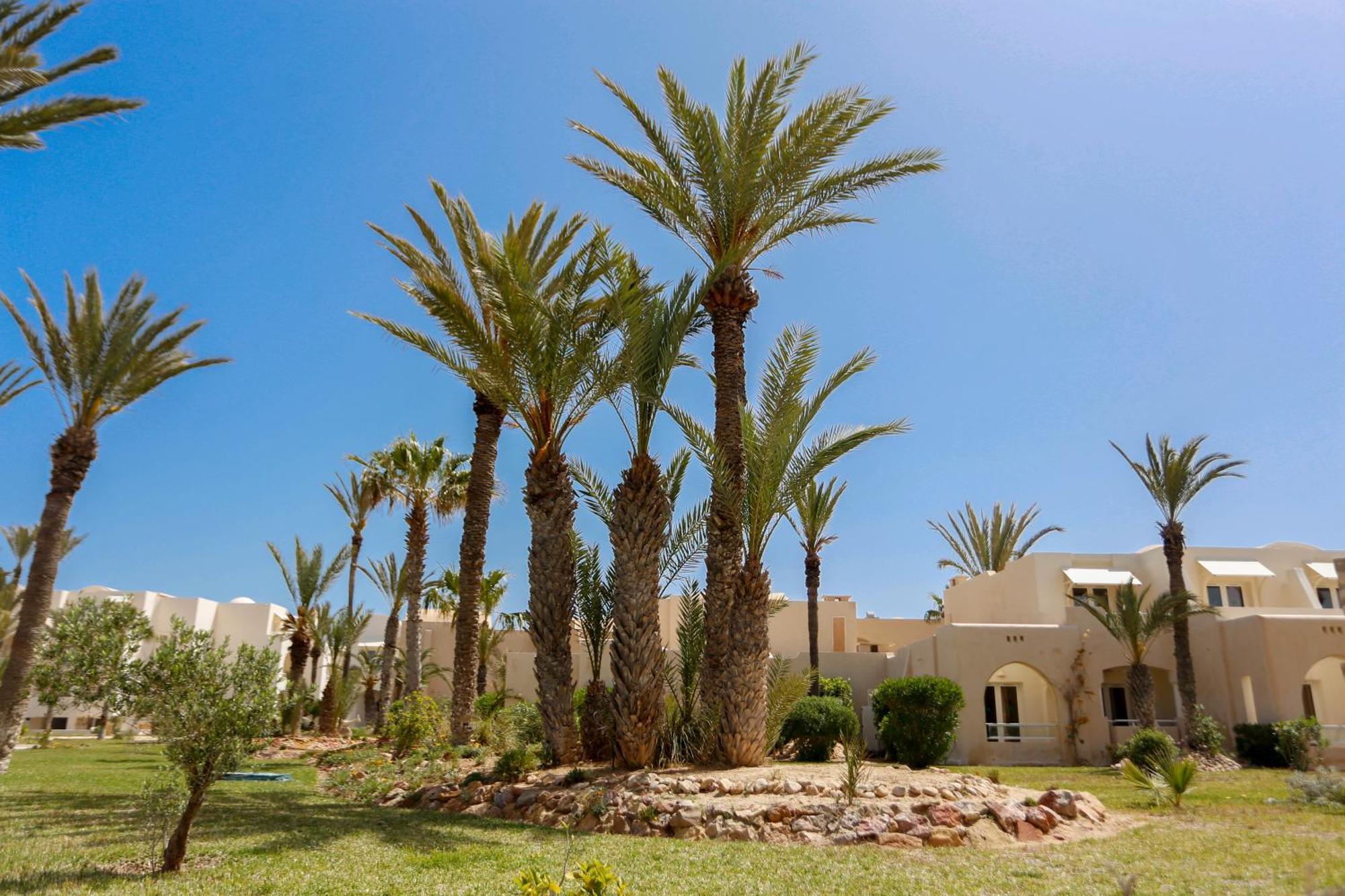 Telemaque Beach & Spa Mezraia Екстериор снимка